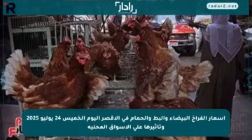 أسعار الفراخ البيضاء والبط والحمام في الأقصر اليوم الخميس 24 يوليو 2025 وتأثيرها على الأسواق المحلية